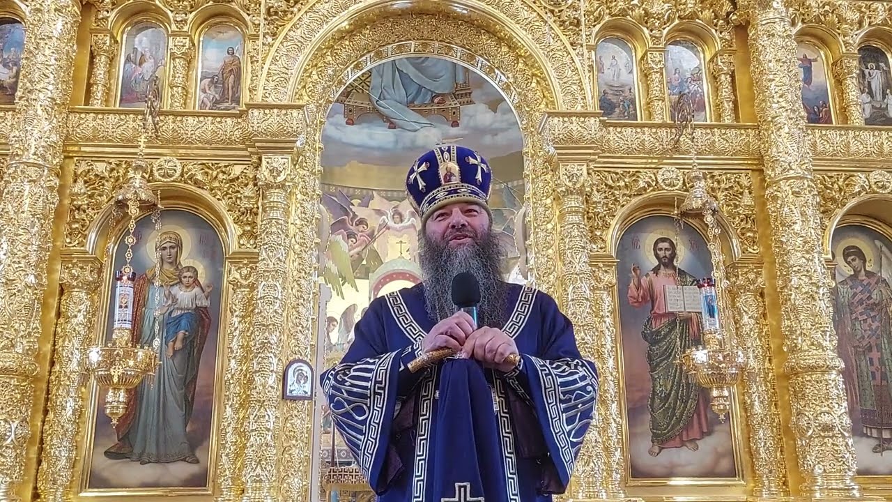 Митрополит УПЦ (МП) Лонгін подякував румунській депутатці, проти якої в Україні введено санкції