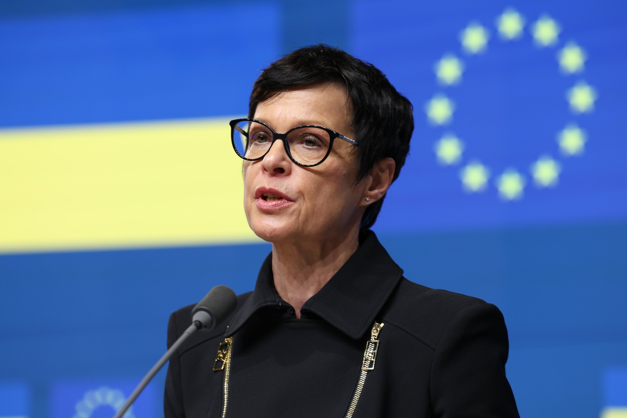 Кос: вступ України в ЄС у 2027 – бажання не лише Зеленського, але й багатьох держав-членів