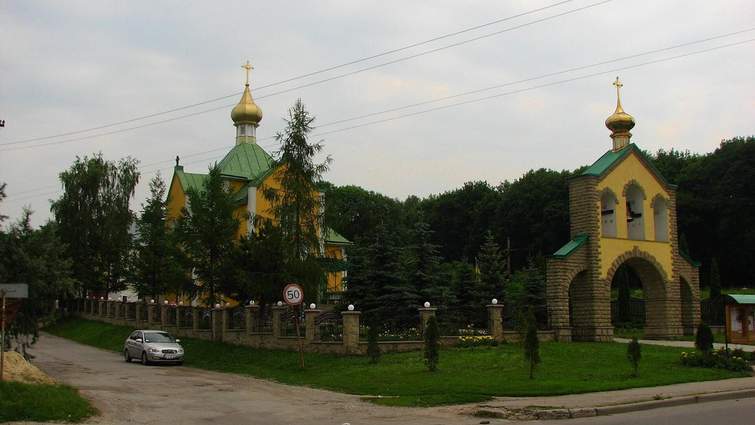 У Празі масштабний мітинг проти уряду Бабіша, організатори нарахували 250 тисяч